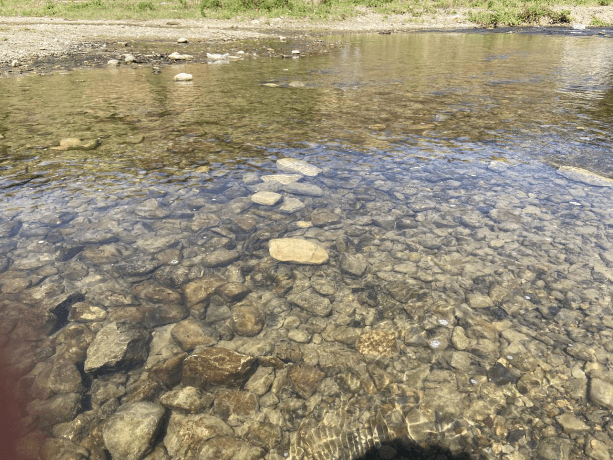 1683528260646672.png 图片4_new.png