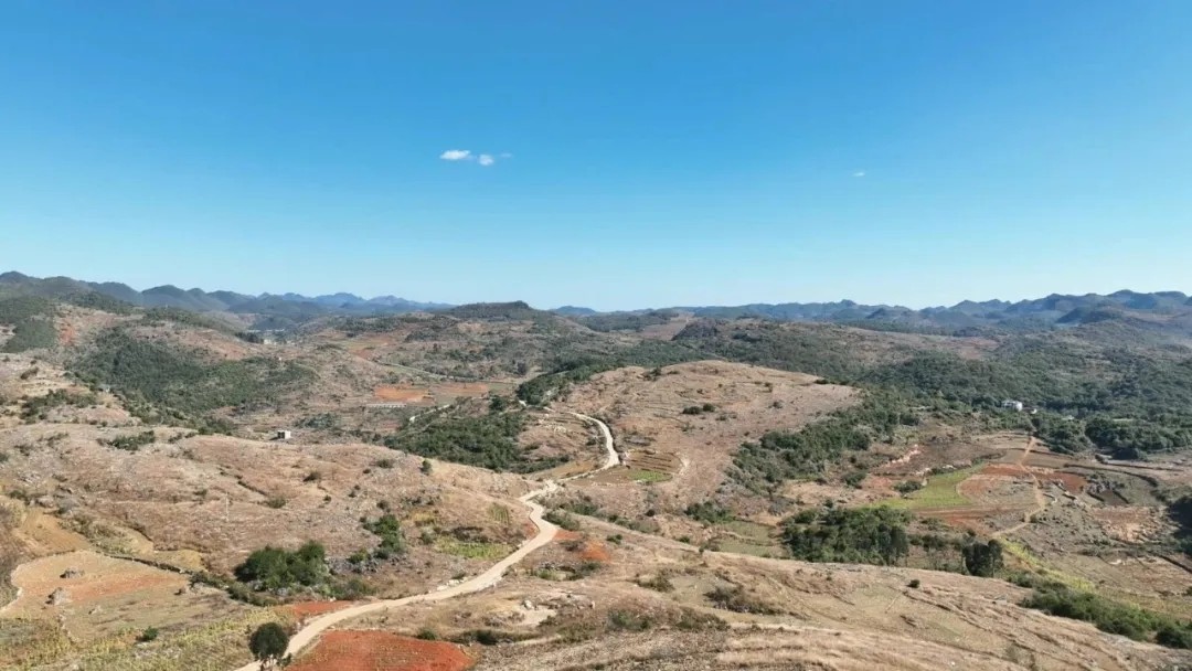 1711673601399078.jpg 8.webp.jpg