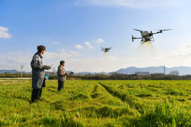 1741053293456665.png 9.png