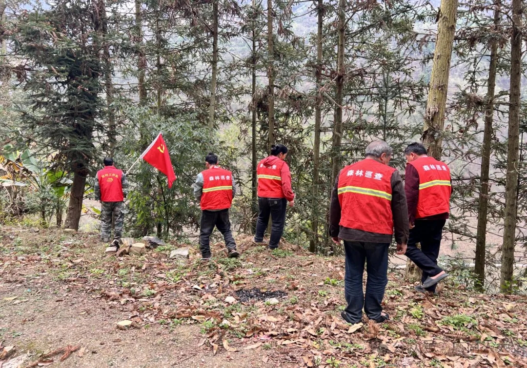 1741939216471776.jpg 2.webp.jpg