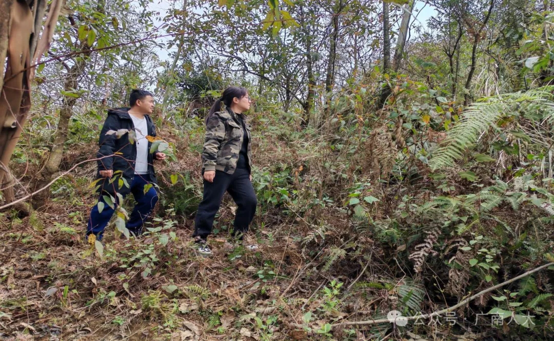 1741939230372545.jpg 33.webp.jpg