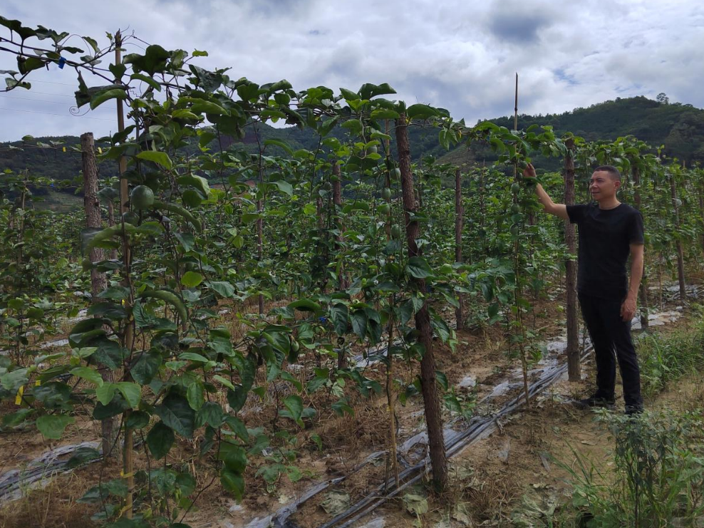 1750922080499449.png QQ_1750922039417.png