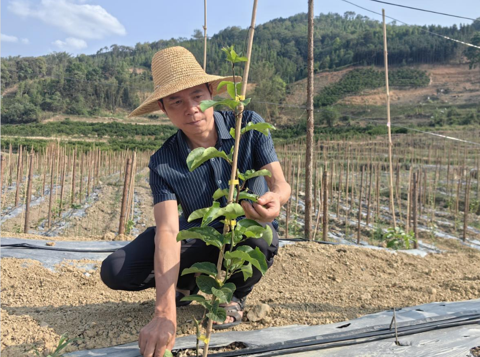 1750922102562795.png QQ_1750922051430.png