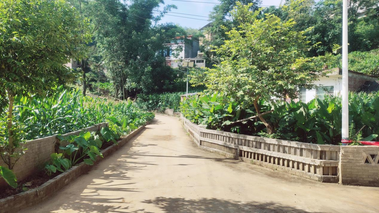 1752023462613083.png 图片3杨.png