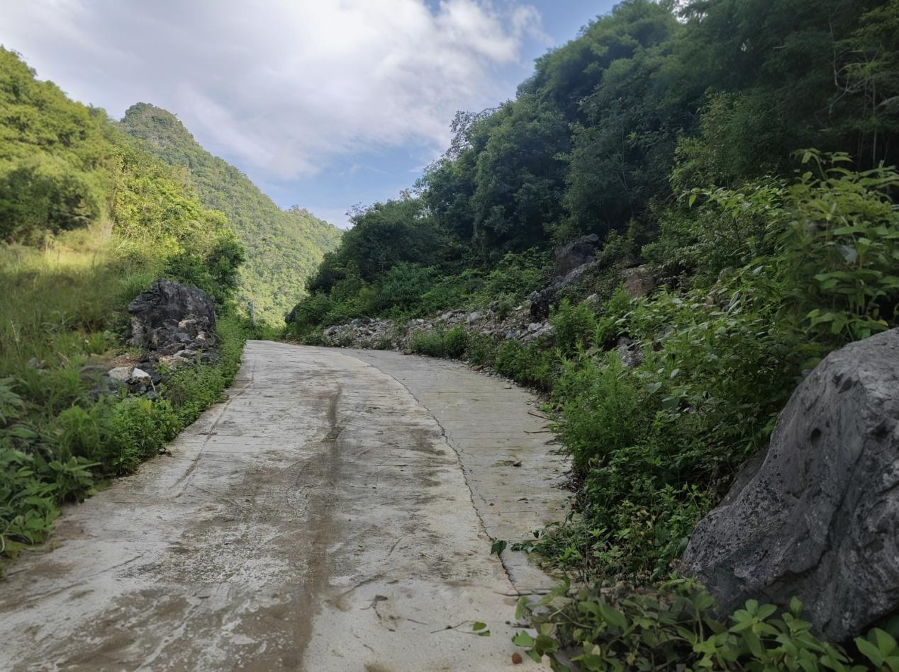 1752023474268123.png 图片3杨2.png