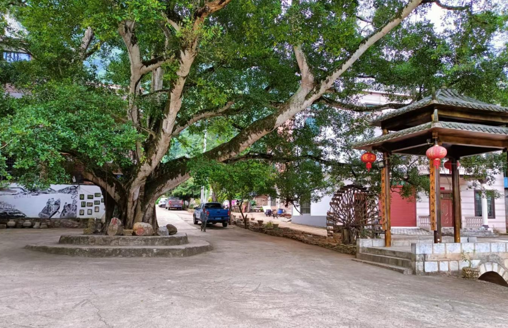 1753068780143854.png QQ_1753068699308.png