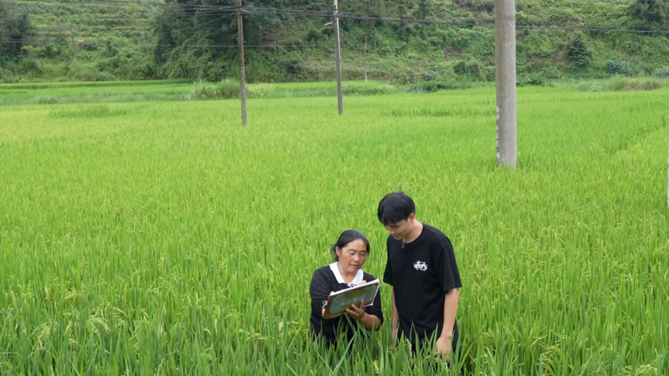 1757410622306667.png 0E16F7CFA15333F0AAC015E640DFCC9D.png