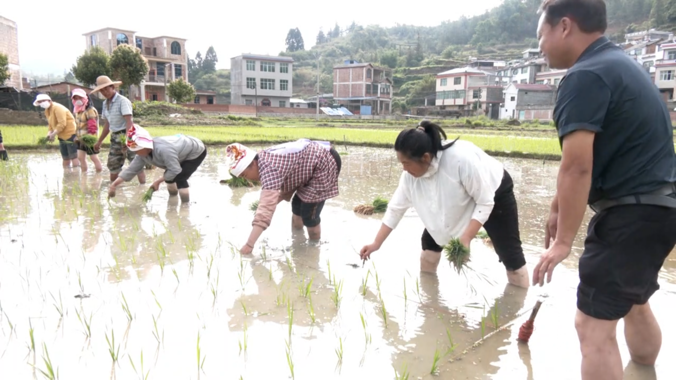 1757410648533412.png 41C95AA0A4C9EEB66FCBBC65EECBD95A.png