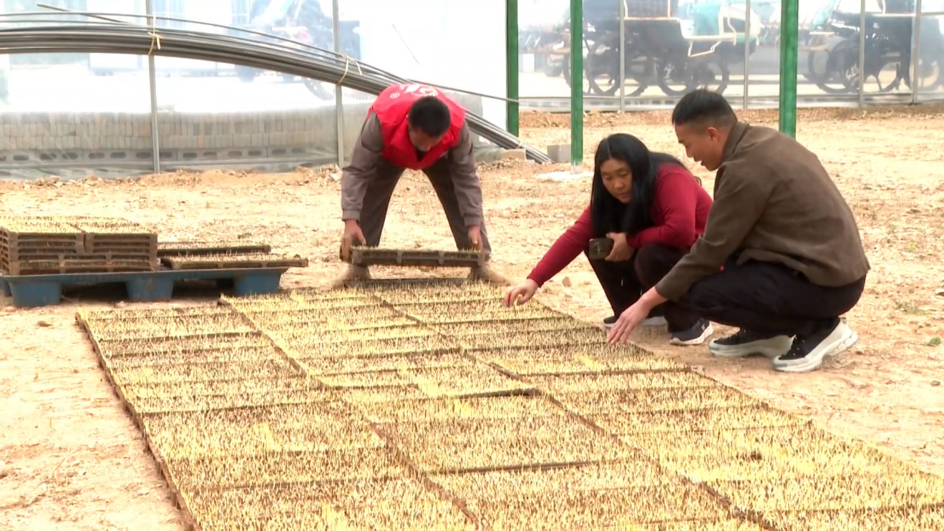 1757410852476254.png 52854107673425FEFC632390184D98D5.png