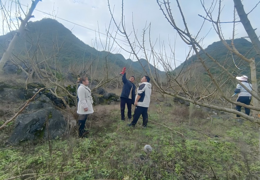 1763621999248718.jpg 笑1.jpg