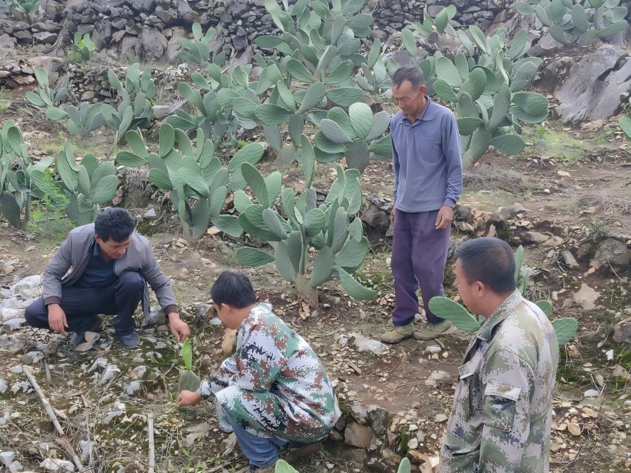 1763622164700399.jpg image滚滚滚.jpg