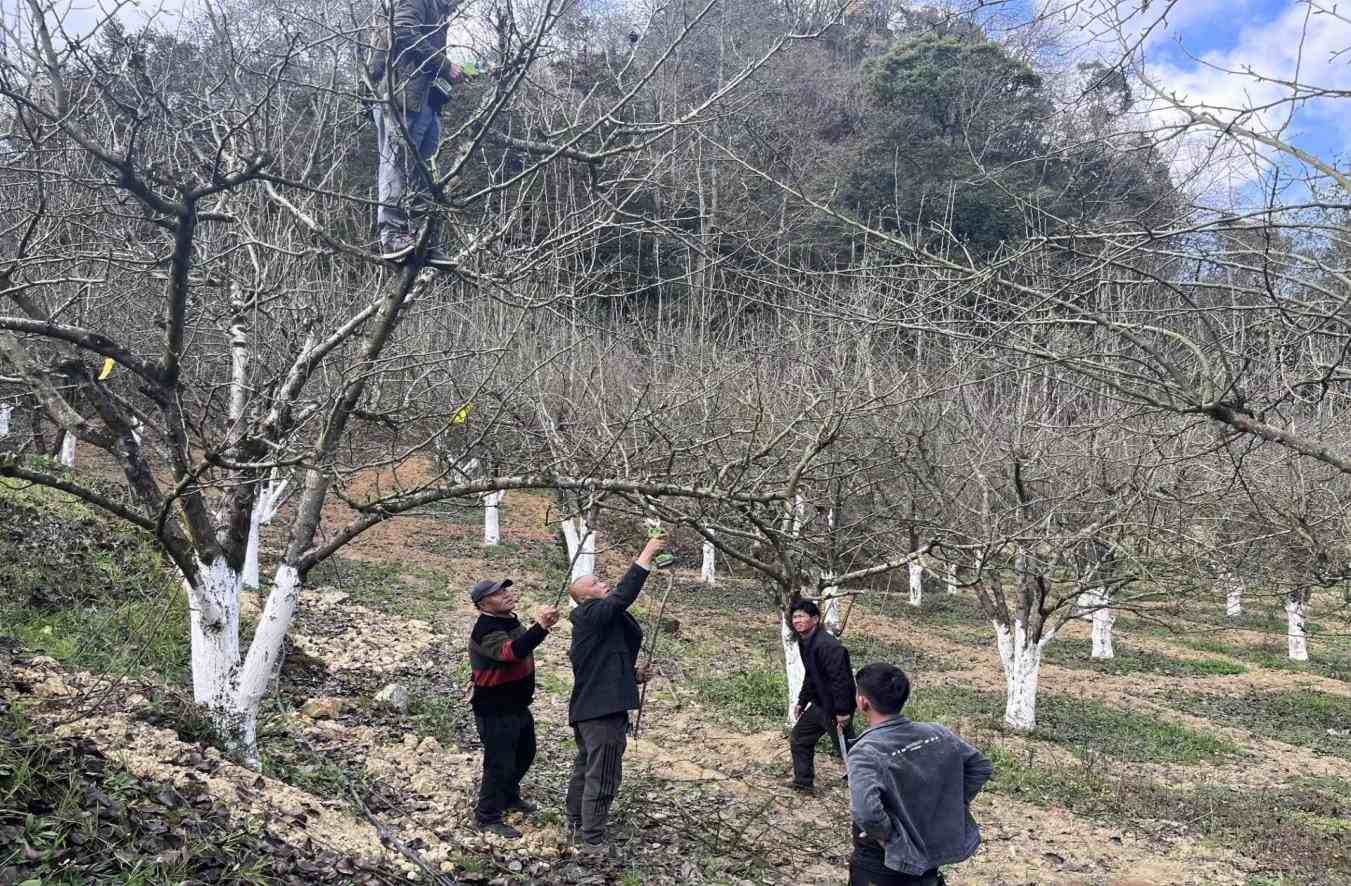 1764558901246318.jpeg image.jpeg