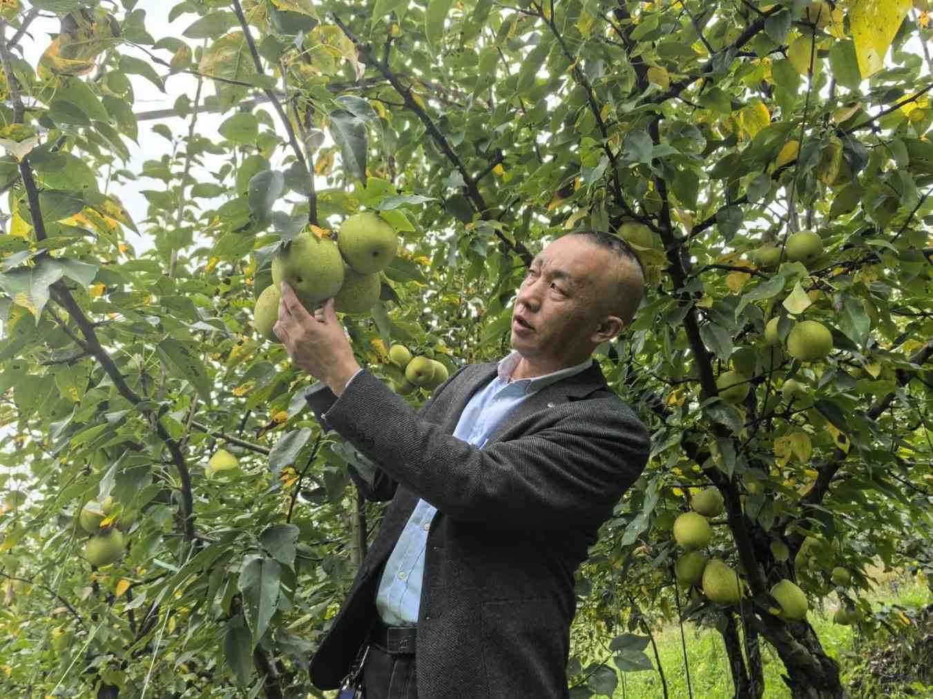 1764558935479185.jpeg image2.2.jpeg