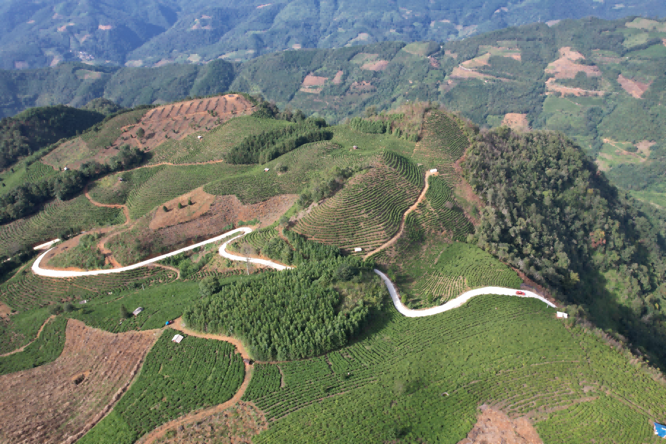 1764559941372024.png 图片1(1)(1).png