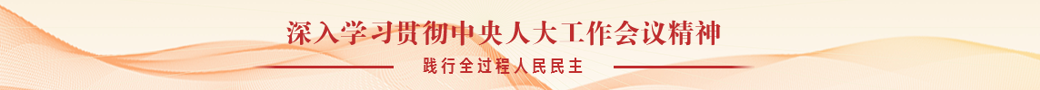深入学习贯彻中央人大工作会议精神